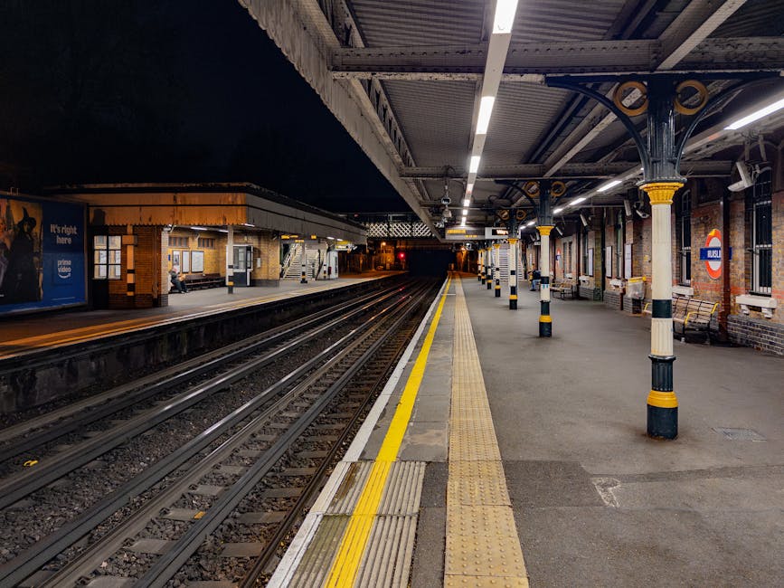 South Ruislip station rubbish pickup options